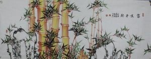 富贵金竹（小六尺）