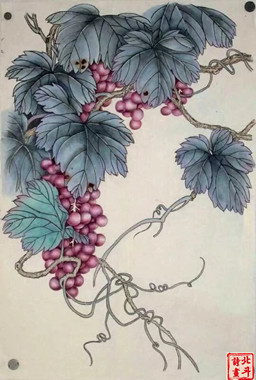 秦薇工笔葡萄作品