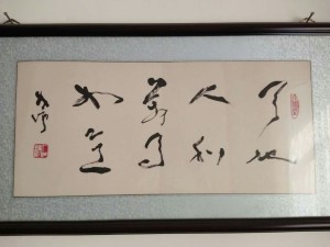 石朴老师书法作品欣赏