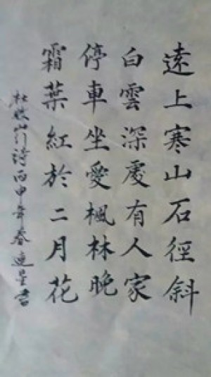 龙湾居士书法作品
