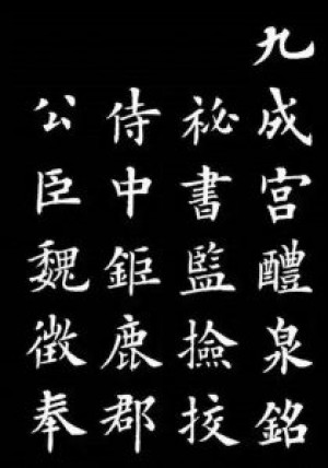 卢中南书法作品：临摹《九成宫醴泉铭》