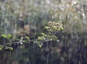 青萍诗歌系列之《落雨的秋》（同题诗文五首）